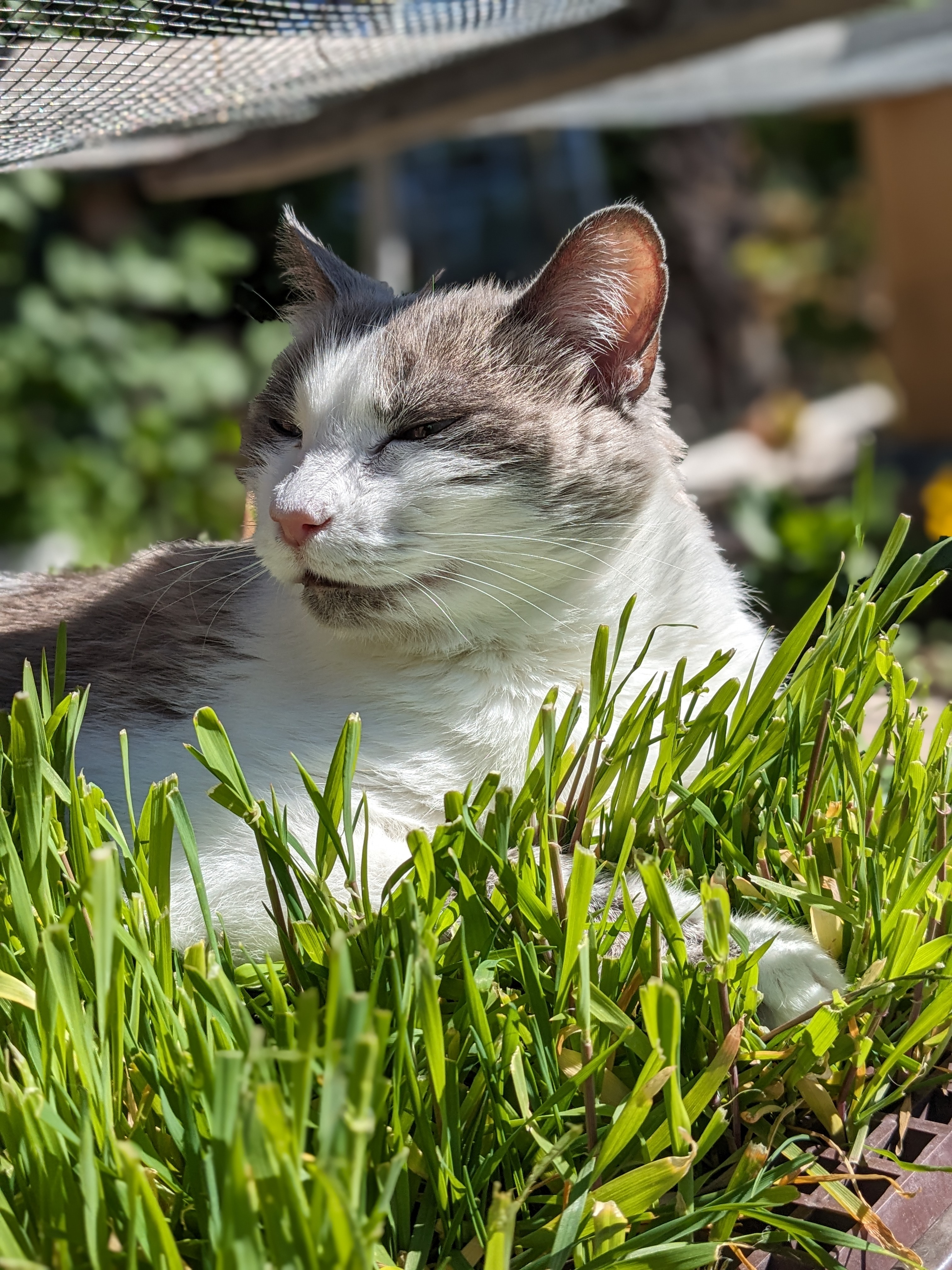 A Note from Jess and the Herd (Video & Pics too)